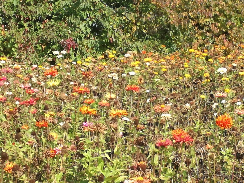 Провинциальная Чехия 