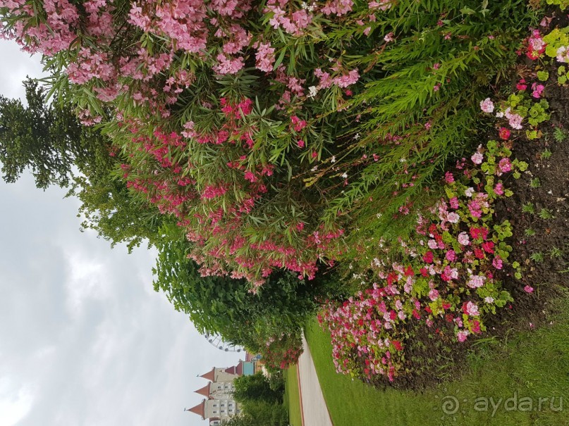 Прекрасно провели время в Соче Парке