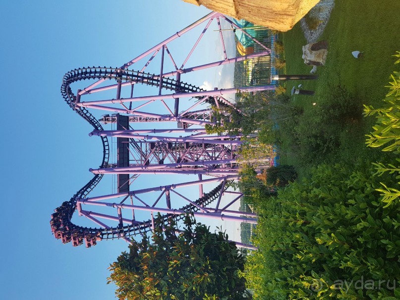 Прекрасно провели время в Соче Парке