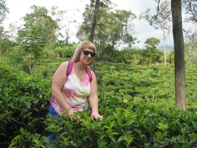 Шри Ланка 6 дней в пути 6 на пляже 