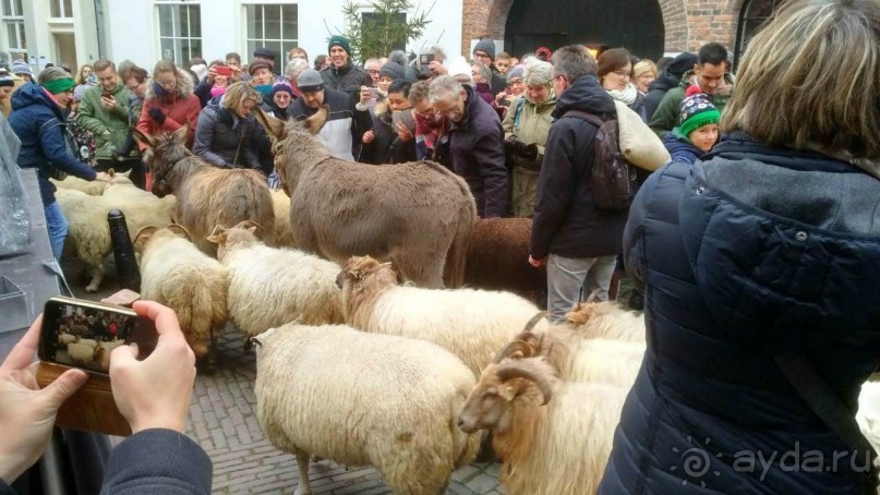 Рождественская сказка!