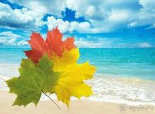 Осеннее предложение!