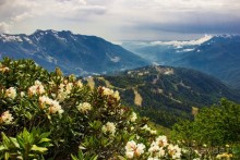 Олимпийская Красная Поляна