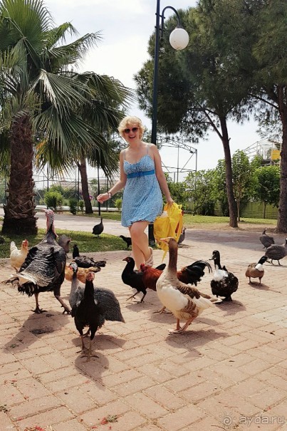 VONRESORT Golden Beach 5*