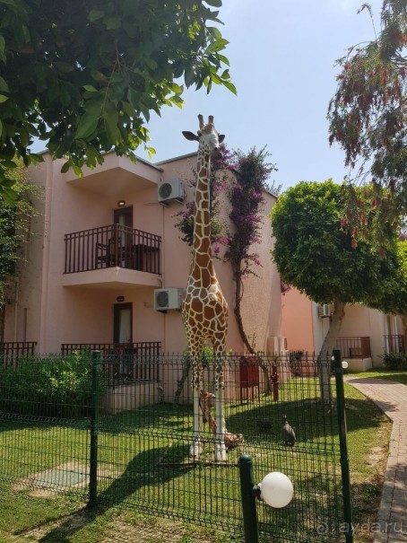 VONRESORT Golden Beach 5*