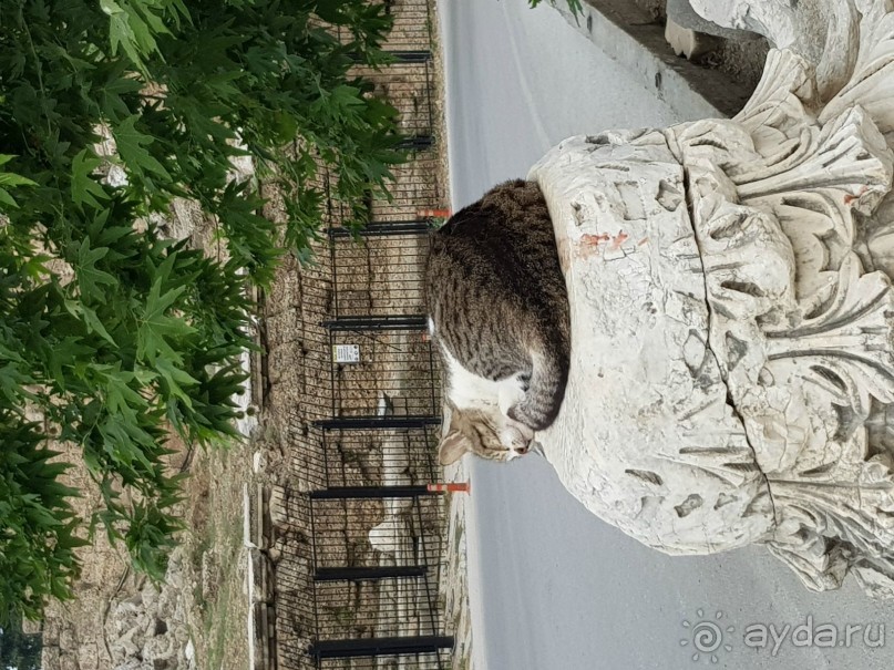 Отель для детей, детей, детей и родителей, умеющих развлекать себя.