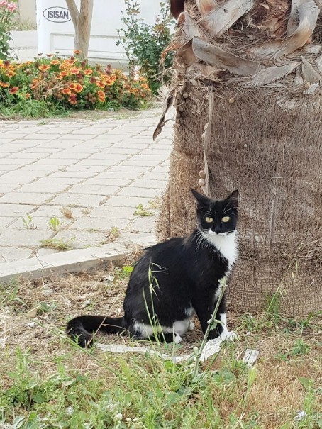 Отель для детей, детей, детей и родителей, умеющих развлекать себя.