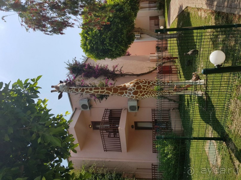 Отель для детей, детей, детей и родителей, умеющих развлекать себя.