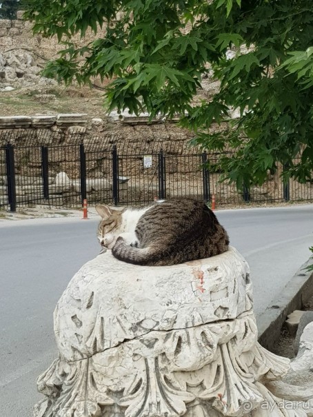 Отель для детей, детей, детей и родителей, умеющих развлекать себя.