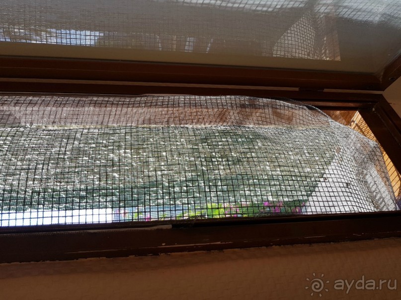 Отель для детей, детей, детей и родителей, умеющих развлекать себя.