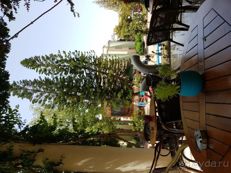 Отель для детей, детей, детей и родителей, умеющих развлекать себя.