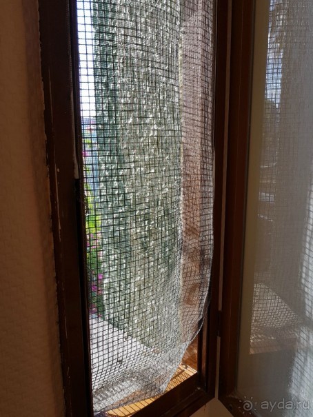 Отель для детей, детей, детей и родителей, умеющих развлекать себя.