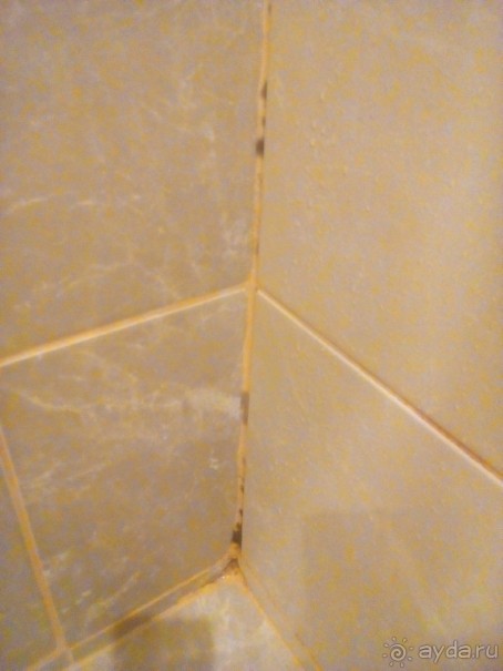 5 очень сомнительных звезд.