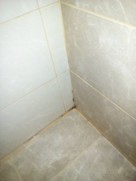 5 очень сомнительных звезд.