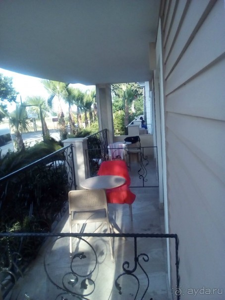 5 очень сомнительных звезд.