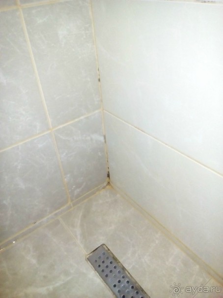 5 очень сомнительных звезд.