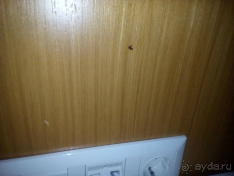 5 очень сомнительных звезд.