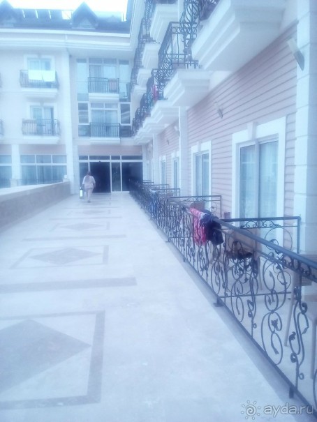 5 очень сомнительных звезд.