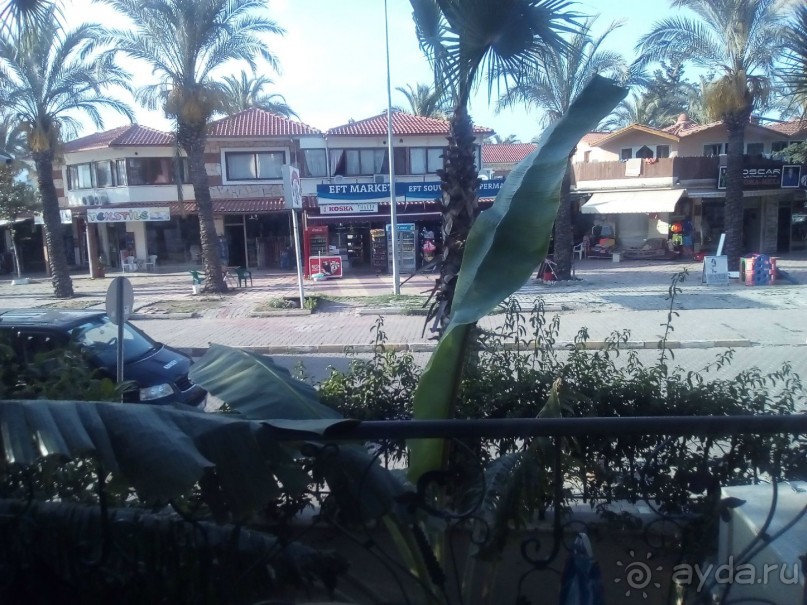 5 очень сомнительных звезд.