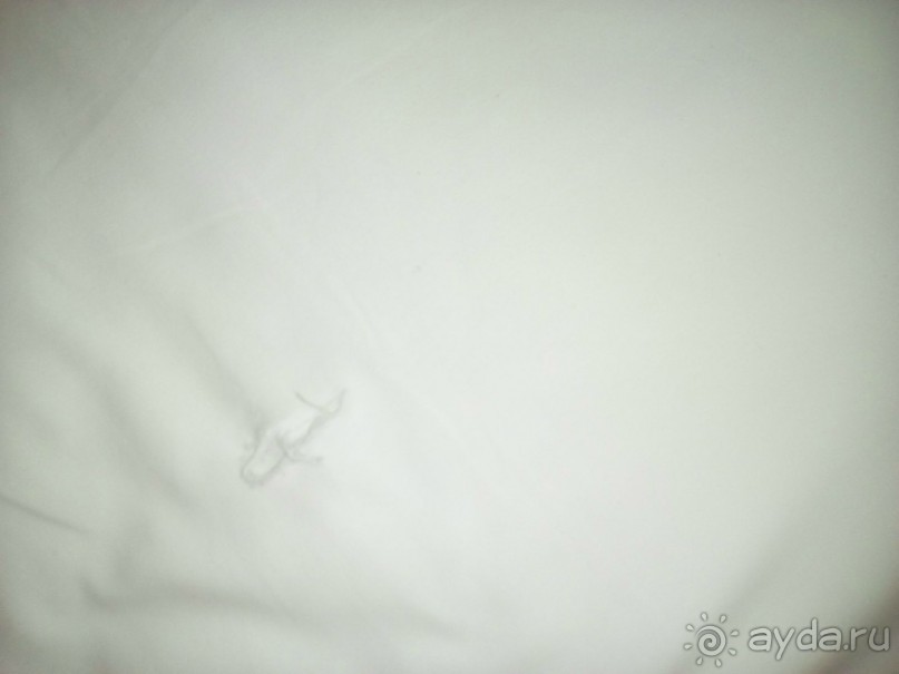 5 очень сомнительных звезд.