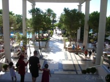 Большой муравейник