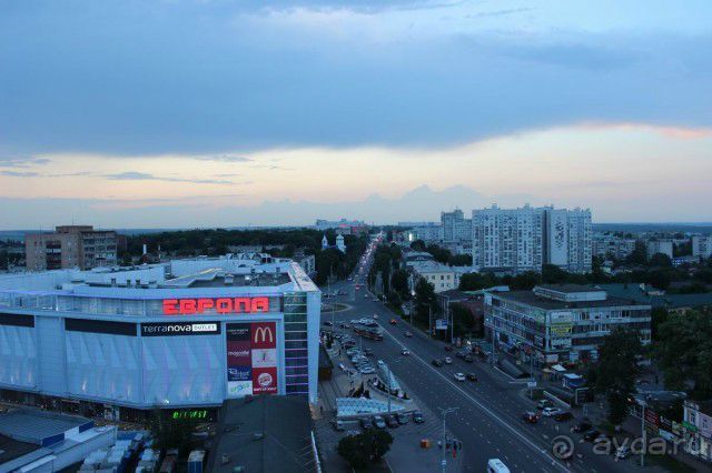 Соловей на месте куропатки