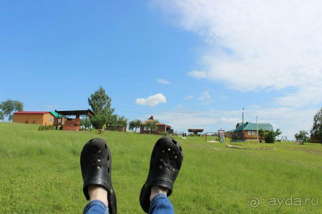 Соловей на месте куропатки