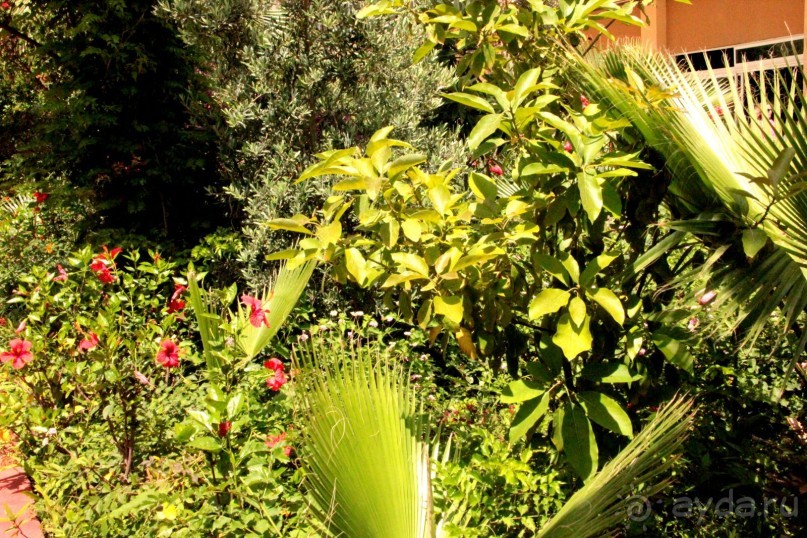 Если планируете достойный отдых в отеле 5*- этот отель не для Вас.