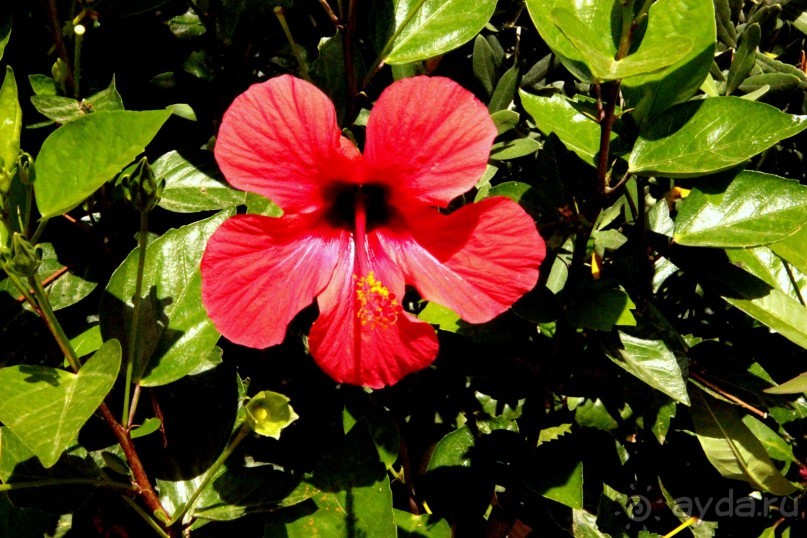 Если планируете достойный отдых в отеле 5*- этот отель не для Вас.