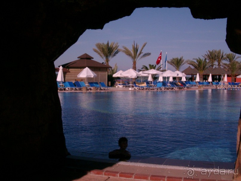 фото La Farandole