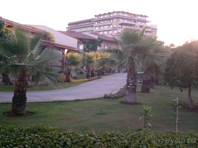 фото La Farandole