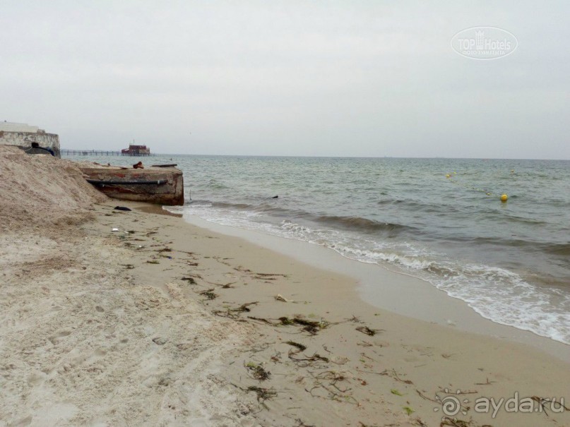 Ужас!!! Ужас!!!