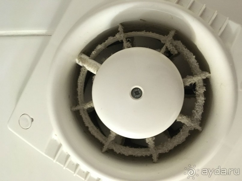 гостевой Дом Альянс ул. Ад.Проценко, 4 ( Тонкий Мыс) 