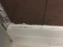 гостевой Дом Альянс ул. Ад.Проценко, 4 ( Тонкий Мыс) 