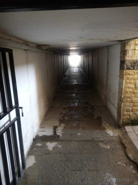 Просто. Бюджетно. Sun Fire