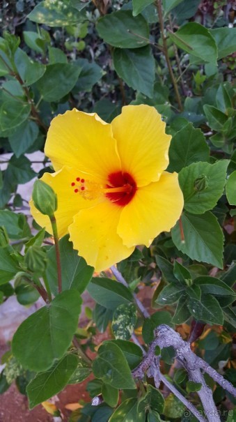 Прекрасный отель