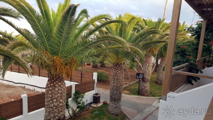 Прекрасный отель