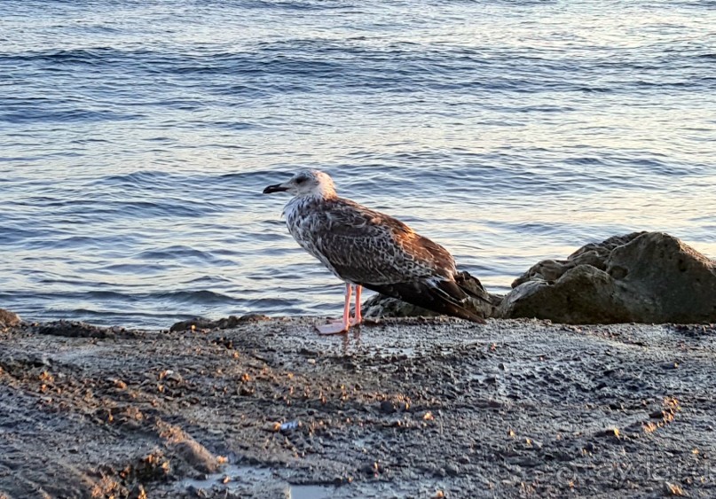 Прекрасный отель