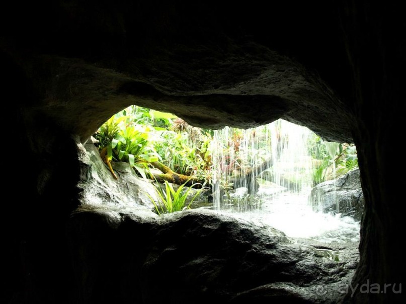 "Мир тропиков" в летней Москве - Фондовая оранжерея главного ботанического сада РАН