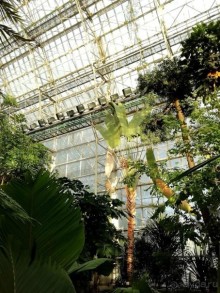 "Мир тропиков" в летней Москве - Фондовая оранжерея главного ботанического сада РАН