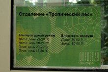 "Мир тропиков" в летней Москве - Фондовая оранжерея главного ботанического сада РАН