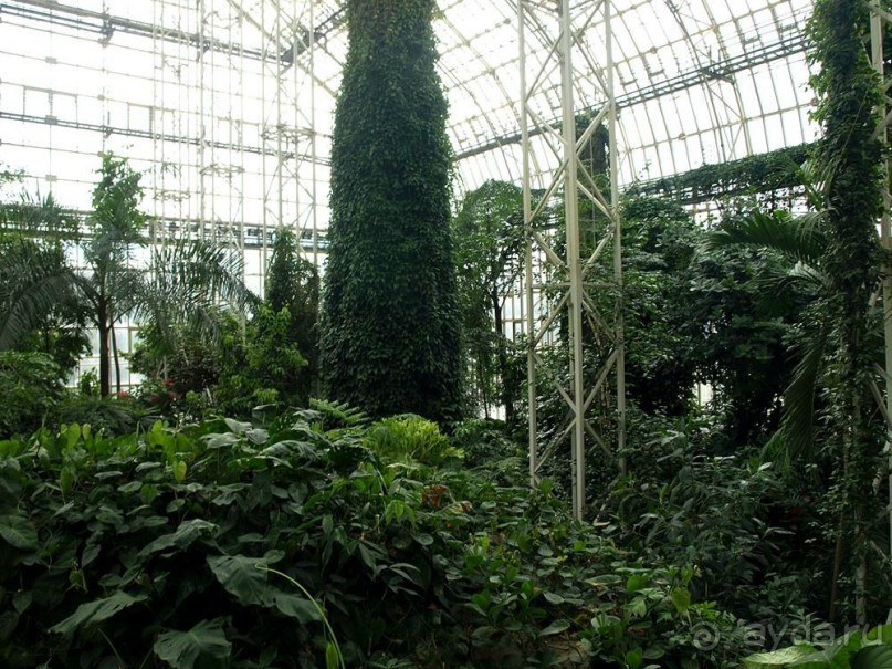 "Мир тропиков" в летней Москве - Фондовая оранжерея главного ботанического сада РАН