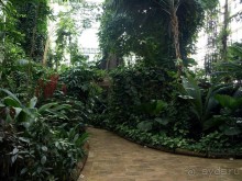 "Мир тропиков" в летней Москве - Фондовая оранжерея главного ботанического сада РАН