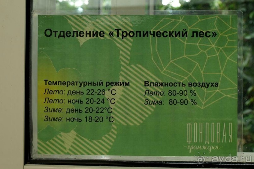 "Мир тропиков" в летней Москве - Фондовая оранжерея главного ботанического сада РАН "Мир тропиков" в летней Москве - Фондовая оранжерея главного ботанического сада РАН