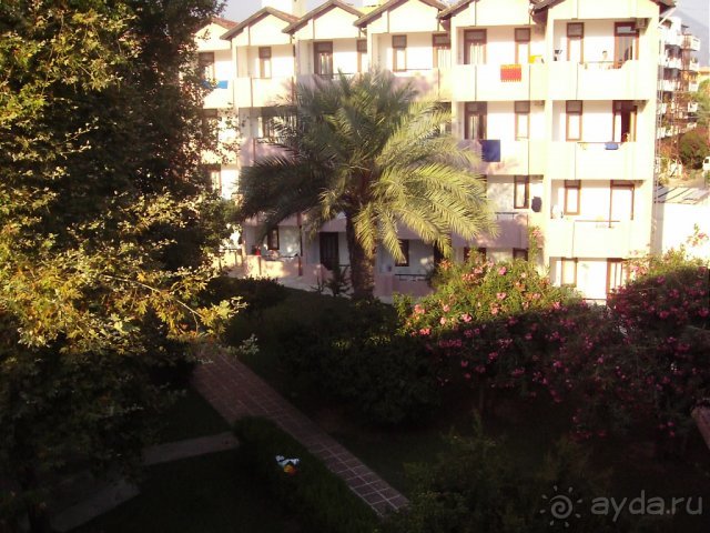 фото Banana Hotel