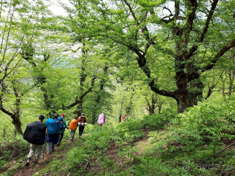 Иран - Горный Треккинг  