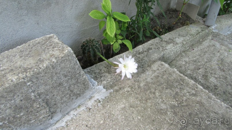 Отдых на Чанба,3