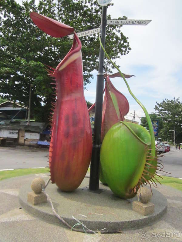 Скульптура экзотических растений перед национальным парком