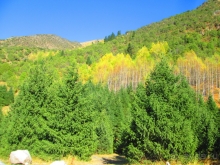 Отдых в Кыргызстане в начале осени