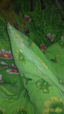 В этот раз не повезло...